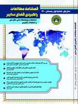 Poster of Strategic studies of cyber space