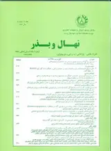 Poster of Seed and Plant Journal