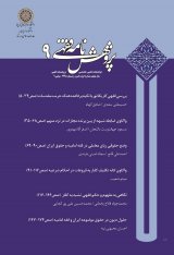 پژوهشنامه میانرشتهای فقهی