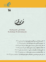Poster of jurisprudence and space