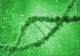 International Journal of Biological Reports