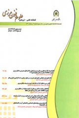 Poster of Journal of Border Science and Technology