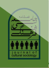 Poster of Journal of cultural Sociology