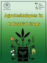 Poster of Agrotechniques in Industrial Crops