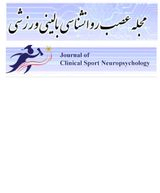 Poster of Journal of Clinical Sport Neuropsychology