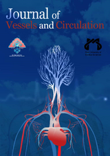 Poster of Journal of Vessels and Circulation